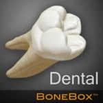 dental - lite android application logo